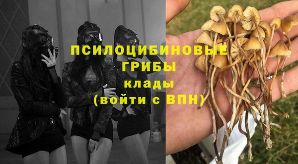 прущий лед Алексеевка