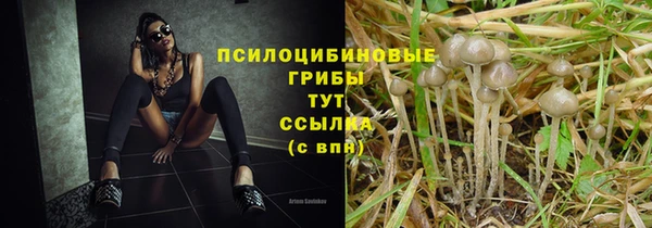 скорость Алзамай